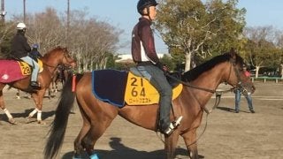 【ダービー卿CT】ロードクエスト 得意コースで4つ目のタイトル目指す