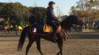 【ダービー卿CT】プリモシーン スムーズなら巻き返し可能