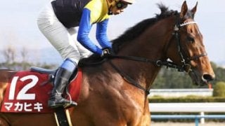 大荒れ予報の春のＧＩ戦線。大阪杯もリベンジ期す４頭で帯封ゲットだ