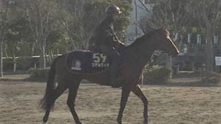 【大阪杯】ステルヴィオ  丸山「結果にこだわって頑張りたい」