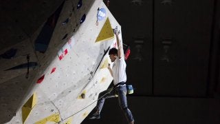 2019年度スポーツクライミング国際大会派遣選手が決定