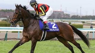 桜花賞は、現役最強馬のノウハウを得たグランアレグリアが巻き返す