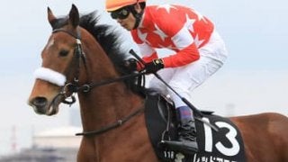 穴党記者推し桜花賞の厳選４頭。中間の現場取材で一発の可能性を見た