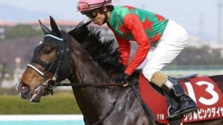 ヒントはチューリップ賞組。令和を目前に桜花賞で美しく舞う穴馬３頭