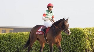 【ニュージーランドT】戸崎「切れ味はすごいです」レース後 ジョッキーコメント