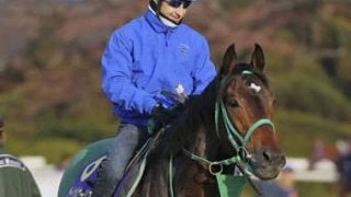 アンカツ自信の「３歳牡馬番付」。皐月賞、ダービーの結果が見えた