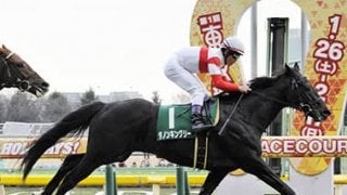 皐月賞はダノンキングリーが狙い目。血統、馬場適性と好材料ばかりだ