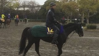 【皐月賞】ダノンキングリー  東のエース格！打倒サートゥルに闘志を燃やす