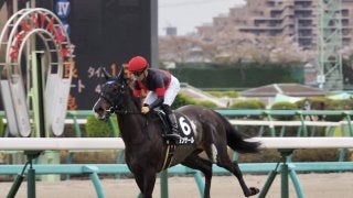 【鹿野山特別】ダンサールが圧勝で3勝目