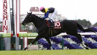 シャケトラ号が死亡