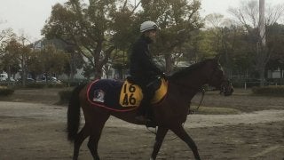 【福島牝馬S】フローレスマジック 木村師「うまく噛み合えば…」