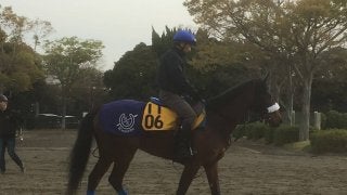 【福島牝馬S】ダノングレース 3連勝で重賞タイトルなるか