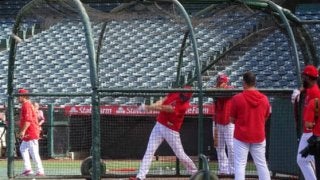 【MLB】大谷翔平、33スイングで柵越え9発　打撃練習合流、指揮官「復帰近づいてはいる」