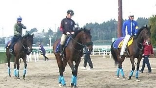 【フローラS】ウィクトーリア 戸崎「背中が良くて雰囲気のある馬」