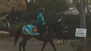 【フローラS】パッシングスルー 黒岩師「ここでも楽しみ」