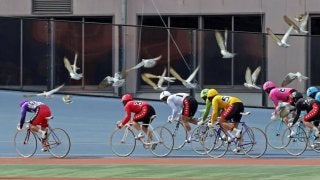 高知G3（3日目）ピックアップ