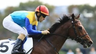 １億円強の「良血」ランフォザローゼス。舞台変更でついに素質が花開く