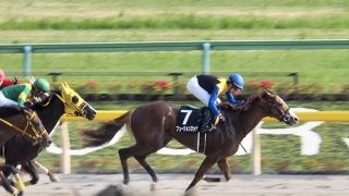 【鎌倉S】「ダートでコツコツ」フュージョンロックがオープン入り