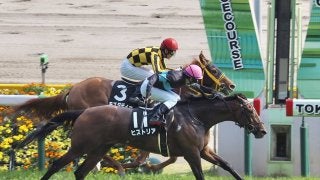 【石和特別】ヒストリアが上がり33.1で差し切る