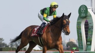 【フローラS】武藤「内をこじ開けられてしまいました」レース後 ジョッキーコメント