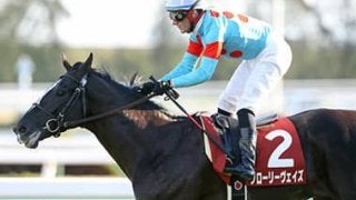 平成最後の天皇賞・春は「華麗なる一族」の３頭が魅せる！　