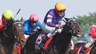 平成最後の天皇賞・春は13頭立て