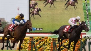 【青葉賞】リオンリオンが粘りに粘って逃げ切る