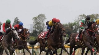 【青葉賞】福永「こんな馬では…」2番人気のウーリリ見せ場なく12着