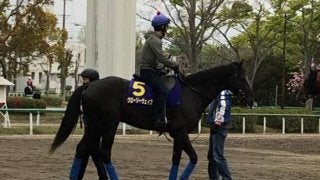 【天皇賞・春】グローリーヴェイズ  メジロの血を味方に天皇賞制覇を目指す