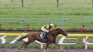 【春光S】サノサマー3角先頭で押し切る！内田博幸のファインプレー