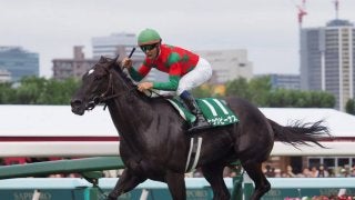 【チェアマンズスプリントプライズ】杉浦師「いつもより大人しい感じ…」ナックビーナス関係者コメント