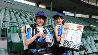 日本盛、甲子園で日本酒をロックで飲む「かちわり生原酒」販売