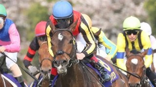 【NHKマイルC】登録馬と見どころ グランアレグリアなど