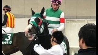 【新潟大賞典】ルメール「疲れてしまいました」レース後関係者コメント