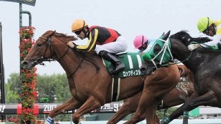 ロックディスタウン号が競走馬登録抹消