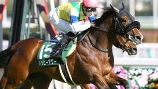 超高配当続出のNHKマイルＣ。激走馬の方程式から導いた３頭の穴馬