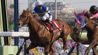 【NHKマイルC】出走馬の調教後の馬体重