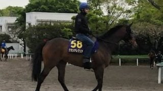 【NHKマイルC】グランアレグリア ルメール「桜花賞時よりもパワーアップ」