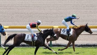 【東京6R】トーセンリストがまんまと逃げ切り！ドナアトラエンテは2着