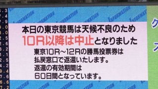 東京競馬場に大粒の雹が降り10R以降中止