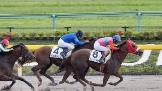 【東京7R】ペイシャネガノが抜け出す！深山雅史調教師は初勝利