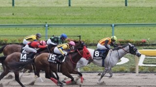 【立夏S】ルメールが混戦に断！マジカルスペルが混戦から抜け出す