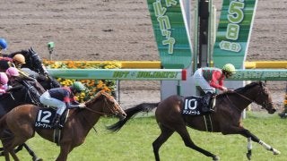 【湘南S】上がり33.2 アンノートルが差し切り！芝コースは速い脚が必要