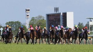 【NHKマイルC】川田「デキは凄くよかった」レース後 ジョッキーコメント