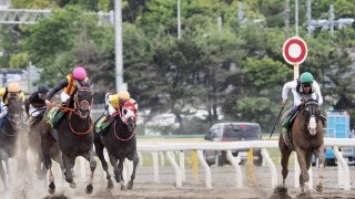 【かしわ記念】ルメールが交流G1をV！ゴールドドリームを勝利に導く