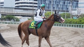 【かしわ記念】武豊「動かされたのが痛かった」インティは2着