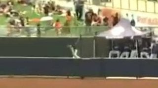 【MLB】米2Aで“強奪スタンドイン”の超美技！　判定は？　「なぜ本塁打にならない」