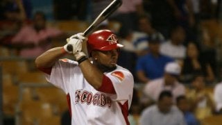 ヨーロッパと世界最大の野球選手輩出地カリブの融合、「オランダ野球」【WORLD BASEBALL vol.8】