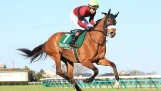 ヴィクトリアマイルの穴馬は３頭。お宝馬券につながるヒントが解けた
