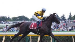 【武豊日記】ソウルスターリング